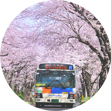 春と相鉄バス
