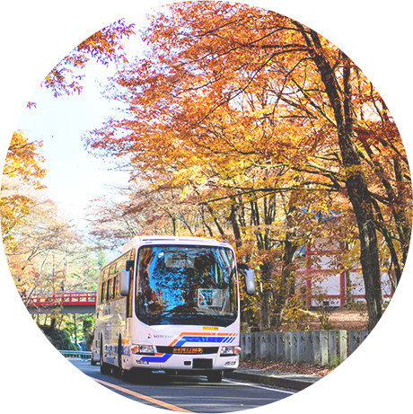 秋と相鉄バス